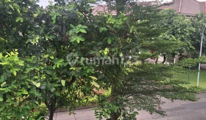 Aruna Lt 350 Harga 7.25M Nego Sampe Deal Dekat Exit Toll