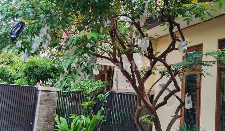 Jual Rumah Luas dan Siap Huni di Pasar Rebo Jakarta Timur CR Jual Rumah Luas dan Siap Huni di Pasar Rebo Jakarta Timur CR