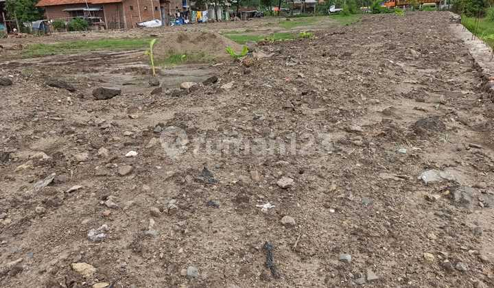 Land for Sale in Terban, Jekulo, Kudus, Central Java CR Land for Sale in Terban, Jekulo, Kudus, Central Java CR