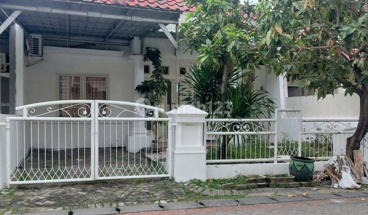 Disewakan Rumah Siap Huni Shm @ Wonorejo Selatan, Rungkut 1