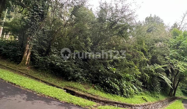 Dijual Tanah Kavling Villa Kawasan Megamendung Bogor