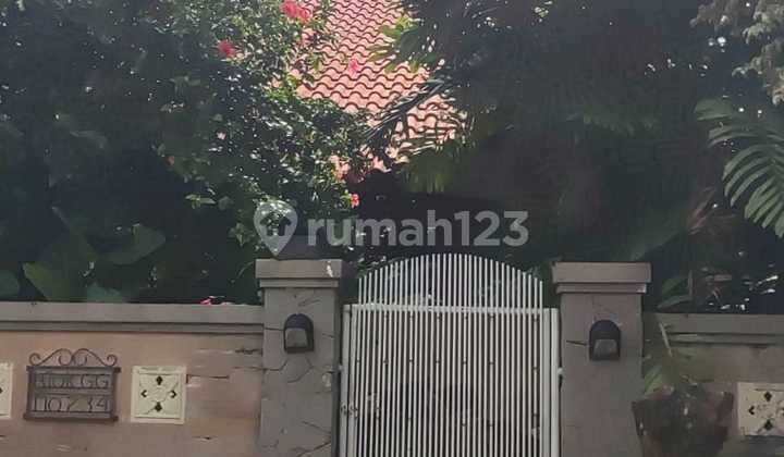 Dijual Rumah Besar Classic Bumi Harapan Indah Kramat Jati Jakarta Timur 2