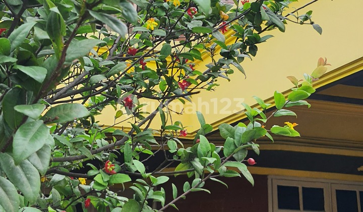 Rumah Kost 2 Lantai di Jalan Dukuh Menanggal Surabaya dekat CITO 2