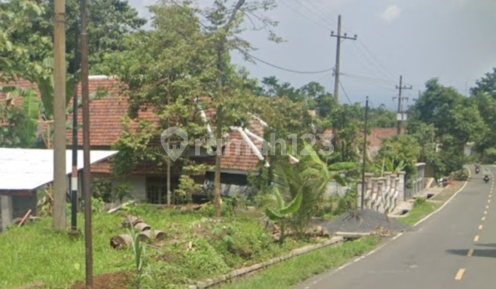 KOMERSIL AREA ,NGEPUNG SUKAPURA , BROMO