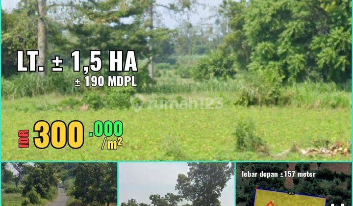 LAHAN TERNAK, KEBUN  PASURUAN 1