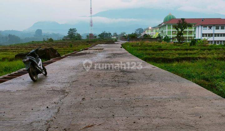 TANAH VILLA + KEBUN ,PACET MOJOKERTO 2