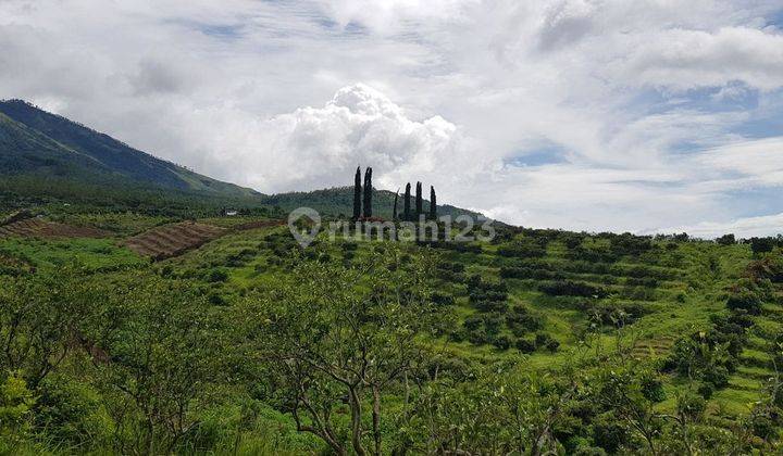 TANAH KEBUN ,KARANGPLOSO BATU MALANG  2