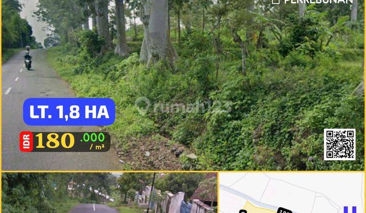 Tanah Ternak, Kebun, Tutur Purwodadi 1