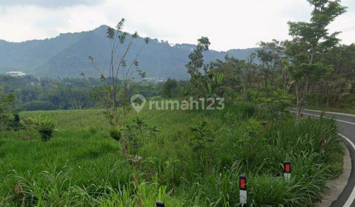 Kebun + Sumber Air Sawiran ,nongkojajar Purwodadi 2