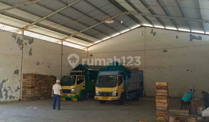 Layer Chicken Farm, Lawang Malang