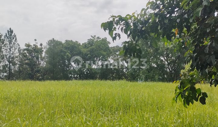 Dijual Kavling Sertipikat View Golf Mediterania Sentul City Dijual Kavling Sertipikat View Golf Mediterania Sentul City