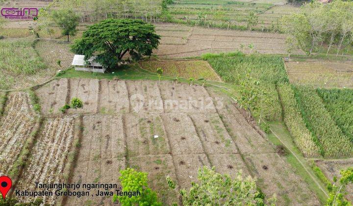 Tanah lahan zona industri Grobogan Bangun pingin jalan provinsi  5