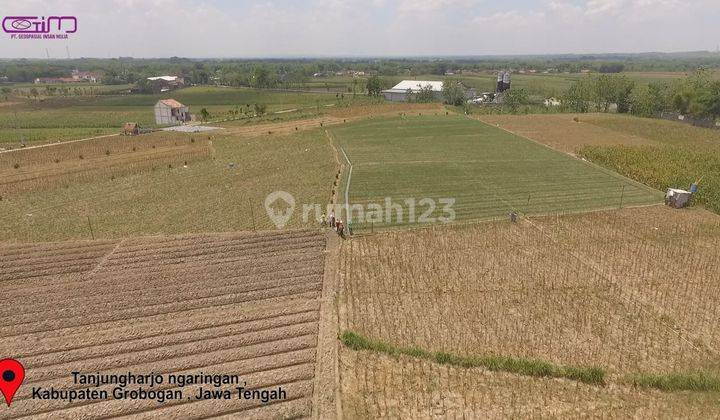 Tanah lahan zona industri Grobogan Bangun pingin jalan provinsi  6
