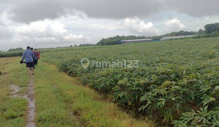 Tanah lahan zona industri Grobogan Bangun pingin jalan provinsi  7