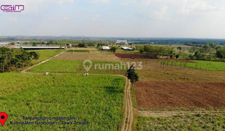 dijual tanah industri di Banjarsari Grobogan jawa tengah 1