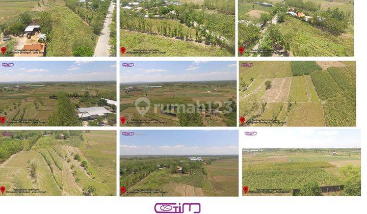 dijual tanah industri di Banjarsari Grobogan jawa tengah 5