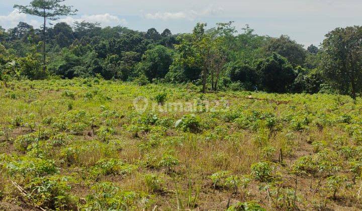 dijual tanah industri di Banjarsari Grobogan jawa tengah 6