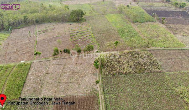 Dijual tanah industri di Grobogan Purwodadi Jawa Tengah 11