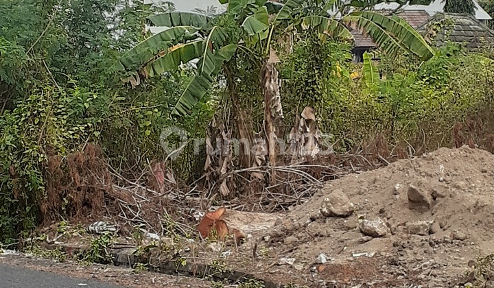 TANAH EKSKLUSIF PINGGIR JALAN DI DENPASAR BARAT 2
