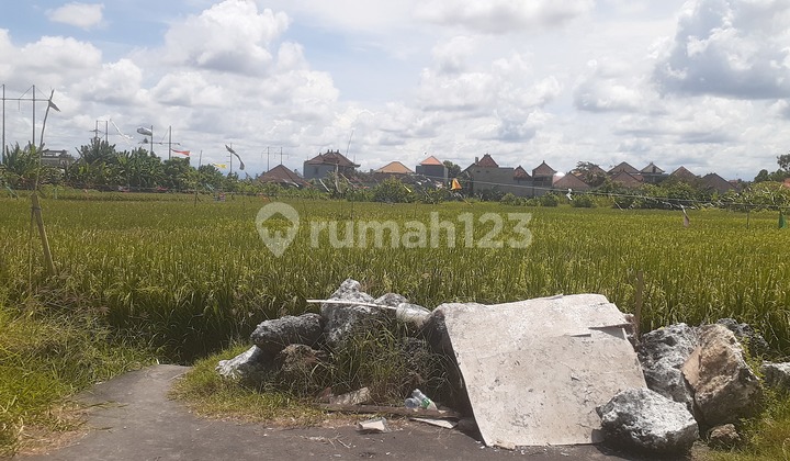 TANAH STRATEGIS VIEW SAWAH KAWASAN VILLA DI SANUR 3