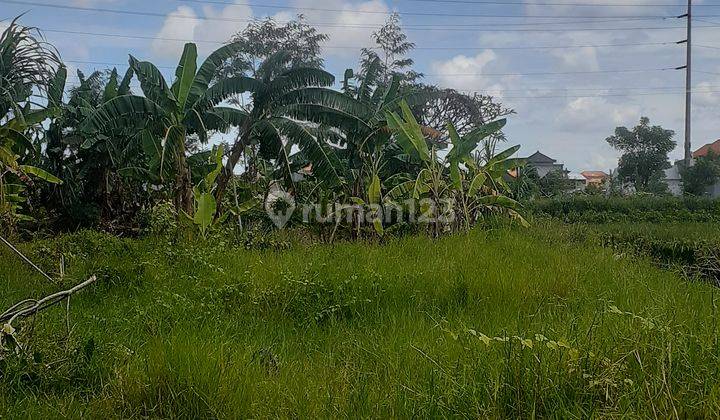 TANAH STRATEGIS VIEW SAWAH KAWASAN VILLA DI SANUR 5