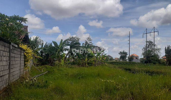 TANAH STRATEGIS VIEW SAWAH KAWASAN VILLA DI SANUR 6