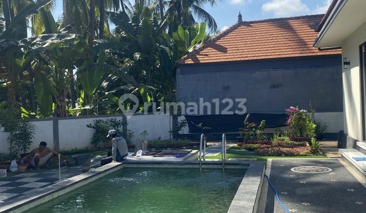 Villa Baru Di Kawasan Pantai Lovina Singaraja 1