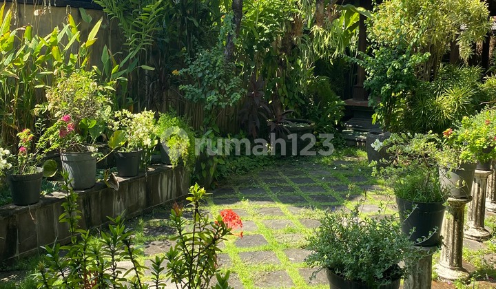 Rumah Komersil Dan Tempat Tinggal Di Jimbaran 2