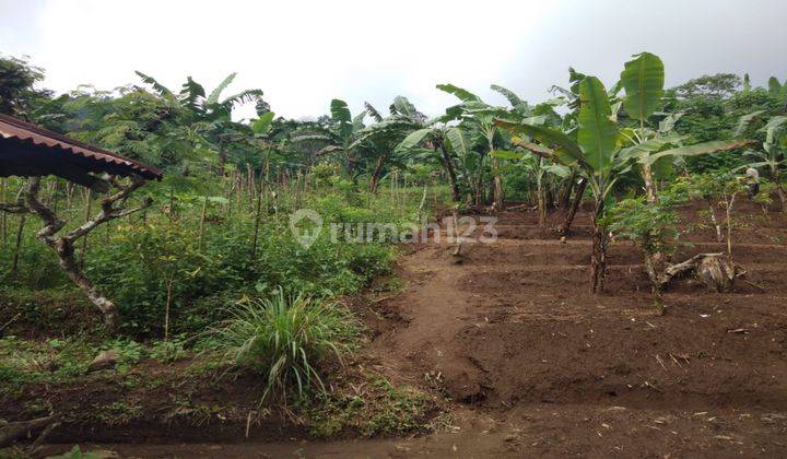 Tanah Murah Dan Strategis Di Gesing Dekat Danau Tamblingan 2