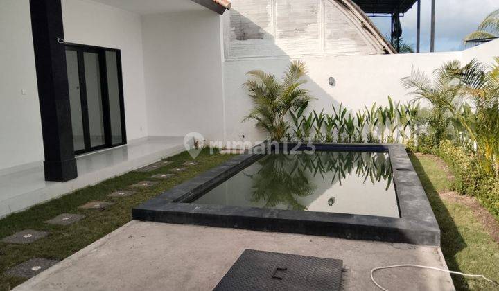 Villa Cantik Murah Dekat Tempat Wisata Canggu 2