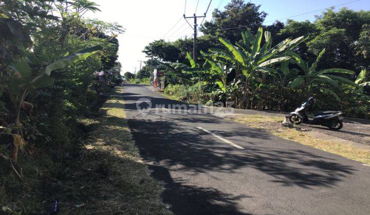 Land Ready to Build Tourism Area Near Aling-aling Waterfall 1