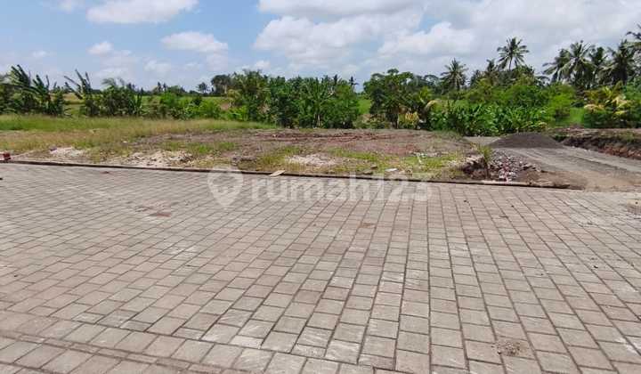 Kavling Premium Kawasan Villa di Bedha Tabanan Bali Kavling Premium Kawasan Villa di Bedha Tabanan Bali