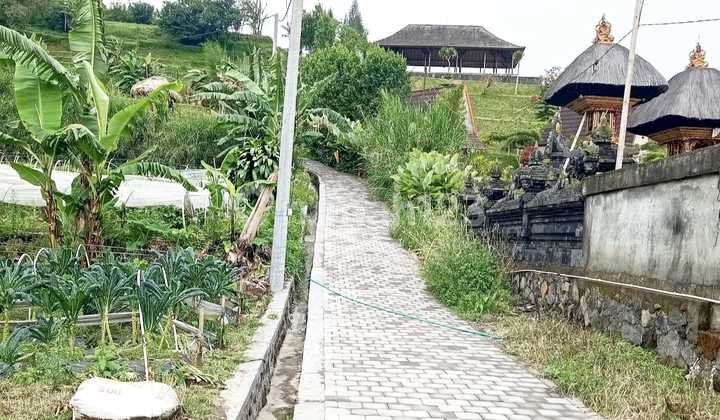 Tanah View Danau Beratan Di Pancasari Bedugul Tabanan Bali