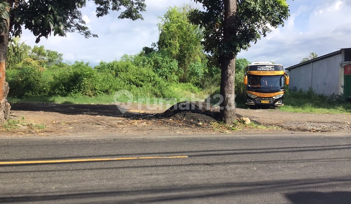 Tanah Premium Dekat Krisna Temukus Di Singaraja
