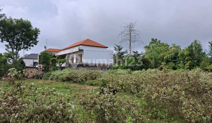 Kavling Murah Di Kutuh Dekat Kampus Unud Dan Gwk Jimbaran Kavling Murah Di Kutuh Dekat Kampus Unud Dan Gwk Jimbaran