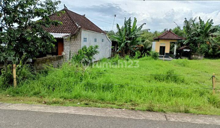 Tanah Murah Di Kaliakah Negara Jembrana Dekat Fasilitaa Umum 1