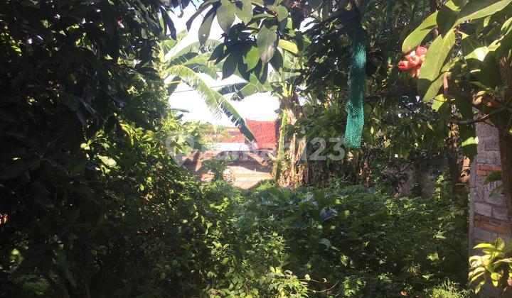 Tanah Premium Dalam Cluster di Kota Singaraja