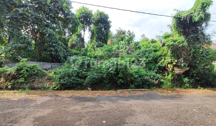 Tanah Eksklusif View Sungai Di Pering Dekat Saba Gianyar