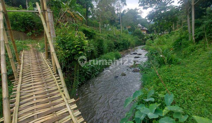 Tanah Di Gambung Ciwidey Shm Luas 1 Ha Cocok Untuk Villa Glamping 1