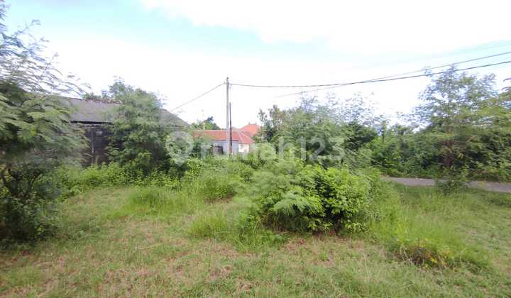 Tanah Matang Badung Bali Sayap Dharmawangsa Siap Bangun 1