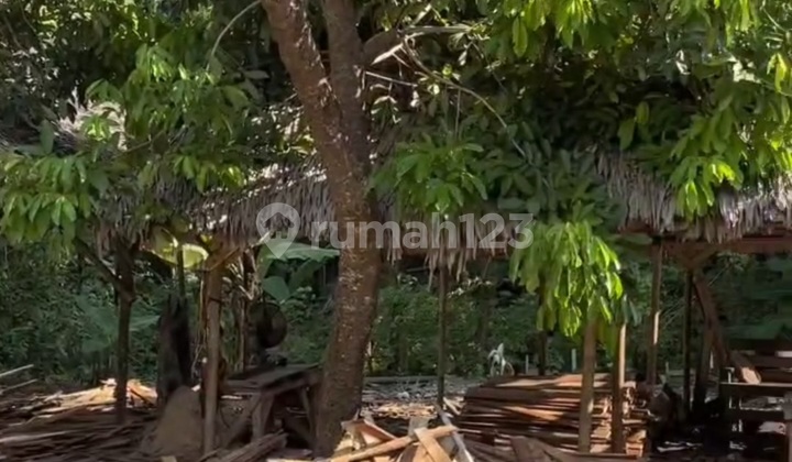 Strategic Land Batu Karas Main Road – 5 Minutes to the Beach, River View from the Hill, Near Ma Engkar.