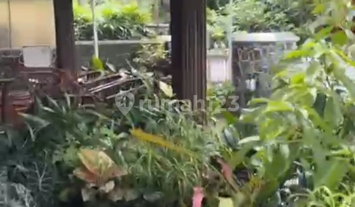 Rumah Kawasan Elite Jalan Cikuray Bogor | Area Historis, Privasi Tinggi, Tetangga Pilihan 1