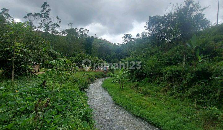 Tanah Di Gambung Ciwidey Shm Luas 1 Ha Cocok Untuk Villa Glamping 2