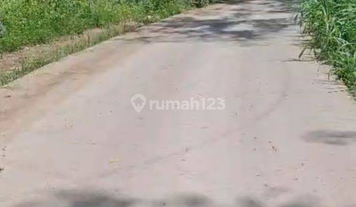 Tanah Siap Bangun Batu Karas Surf Spot Cocok Buat Cottage Resto Bisnis Menjanjikan 2