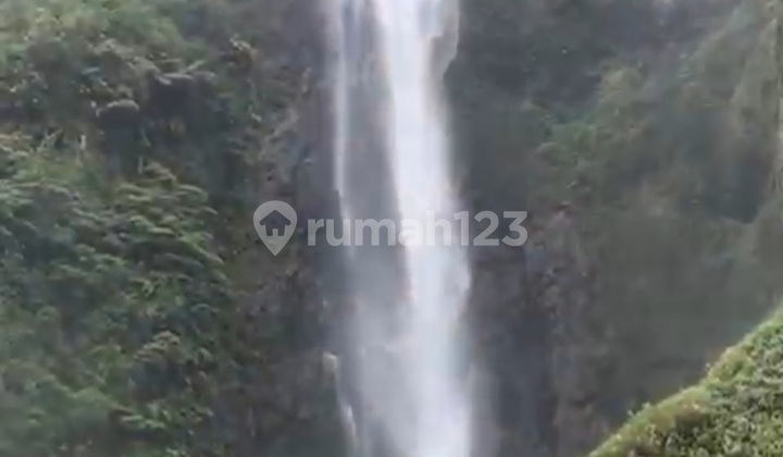 Jual Cepat Tanah Sawah Di Ciwidey Cipelah – Lingkungan Sejuk, Akses Wisata Curug Tilu & Citambur