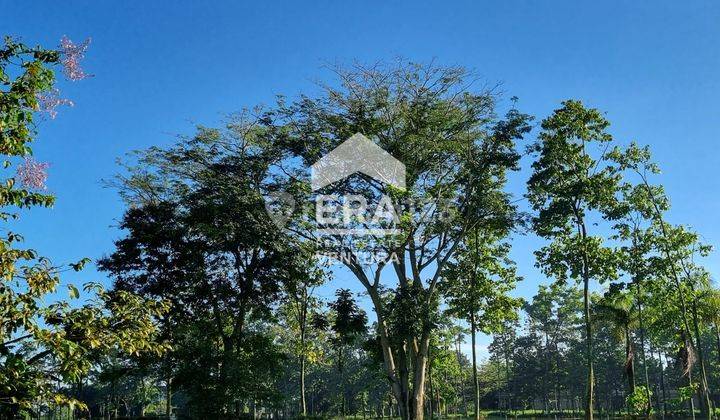 Harga Termurah, 3 Kavling Premium View Golf Di Araya Malang 2