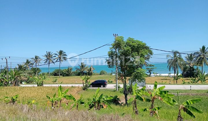 Tanah Pinggir Pantai Selatan Banten Dikawasan Geopark Bayah Dome Tanah Pinggir Pantai Selatan Banten Dikawasan Geopark Bayah Dome
