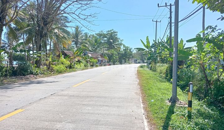 Tanah Daerah Pasput Cihara Mainroad Jln Nasional Bayah Malingping