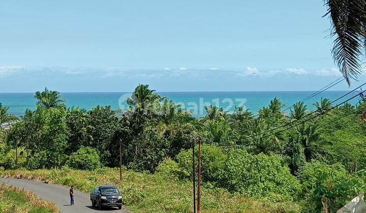 Tanah Luas SHM Ex Kebun Sawit View Laut Dekat ke Jalan Nasional
