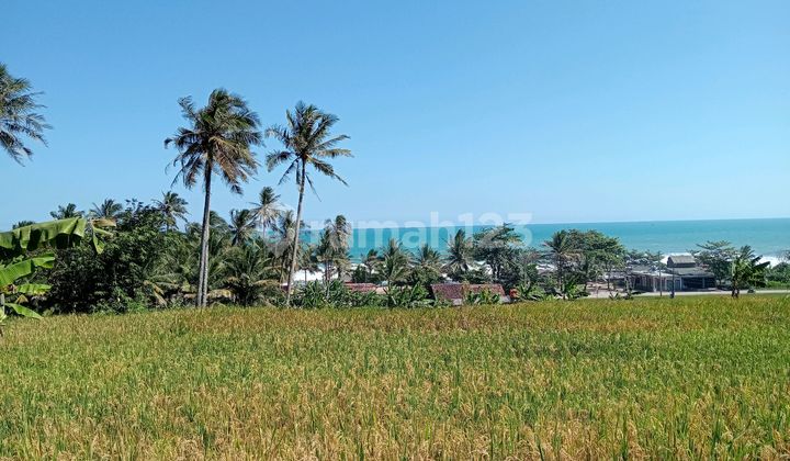 Tanah View Laut Cocok Utk Resort Villa Kawasan Geopark Bayah Dome Tanah View Laut Cocok Utk Resort Villa Kawasan Geopark Bayah Dome